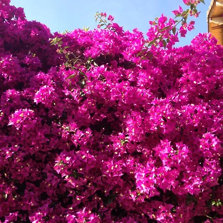 Bed & Breakfast Bennecourt 2*