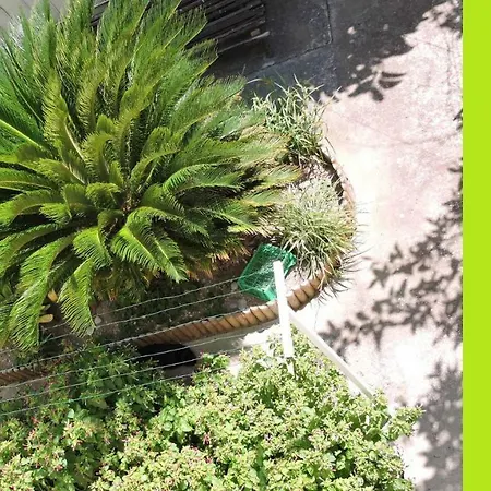 Nice/nizza : Appartement