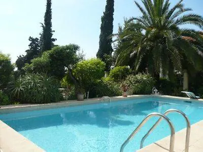 Dracoena Villa Nizza