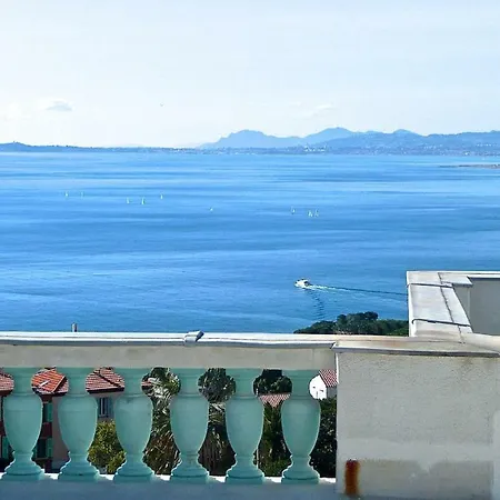 Dracoena * Nizza