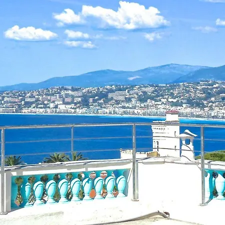 Dracoena Nizza
