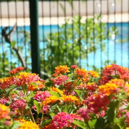 Le Fabrina Riviera Apartmán Nice