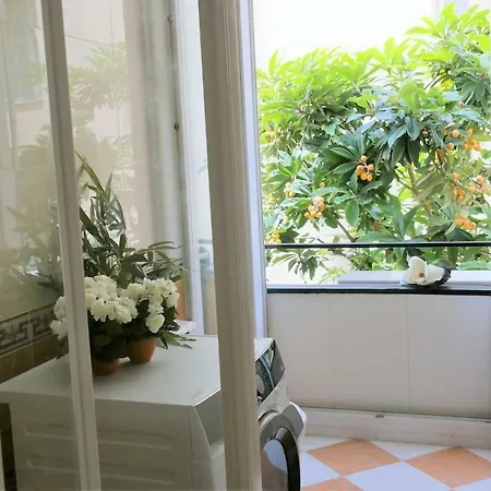 Appartamento Roses & Ivy, Rue Du Congres *