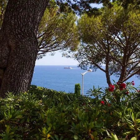 Stunning View And Pool Big Location Apartment Nice