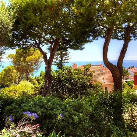 Stunning View And Pool Big Location