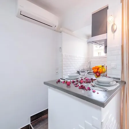Apartment Beau A 50m De La Nice