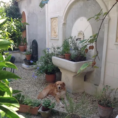 Appartamento Confort Avec Terrasse