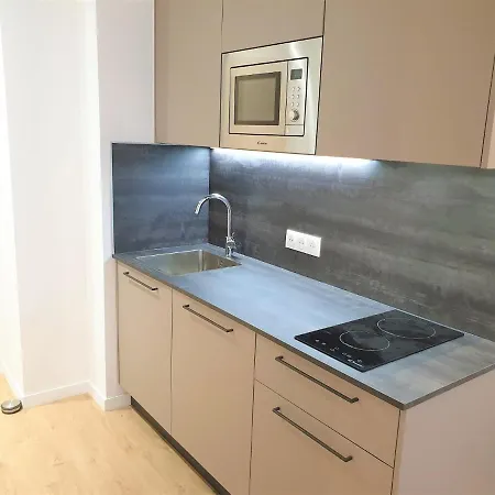 Apartment Studio Centre Ville/lamartine 205 Nice