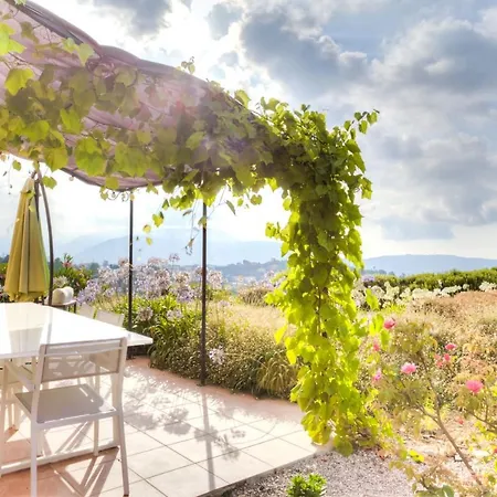 Des Oliviers Villa *