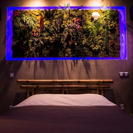 Couette-café Sensorielle