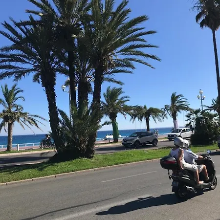 3 Proche Et Negresco *