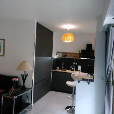 Nice- Gairaut - Jardin Prive- Grand F1 Lumineux-piscine Collective Appartamento Nizza