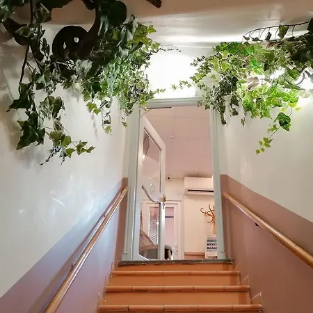 Hotel Ammi Vieux