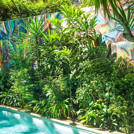 Le Windsor, Jungle Art מלון