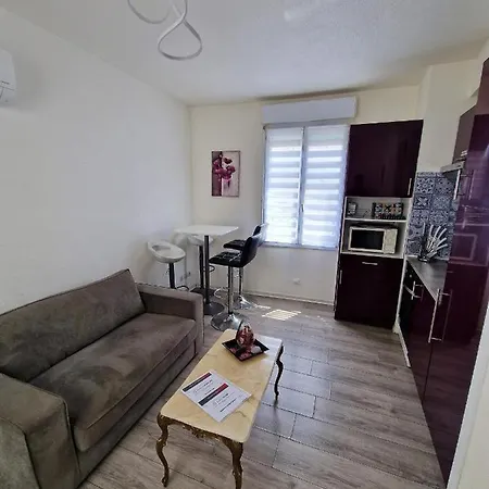 Апартаменты Plein Centre Climatise Et Spacieux Avec Grande Terrasse Sur Le Toit A Ницца
