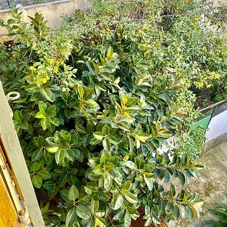 Apartament Lovely & Cozy Duplex Heart Of With Bathtub!