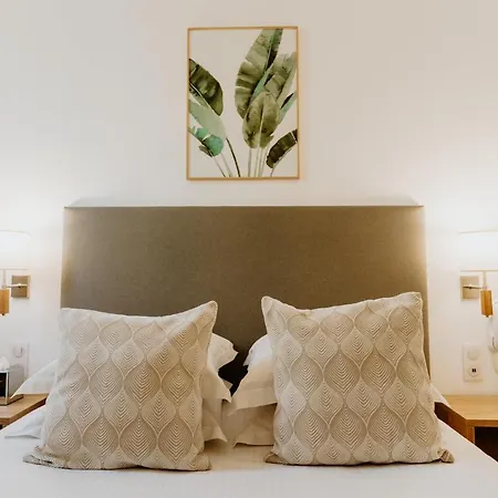 Palm Hotel Nice