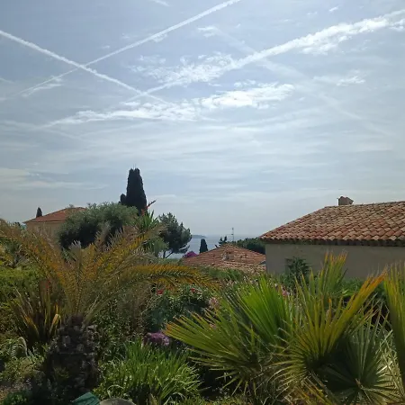 L'albizia * Nice