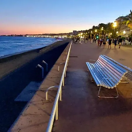 Appartement Grand Studio Avec Terrasse A 20 Metres De La Plage