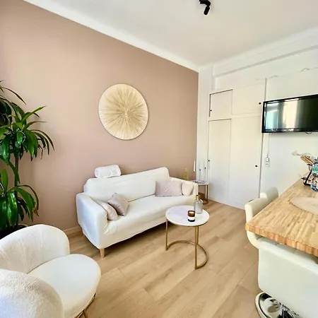 - T3 Renove De 50 M2 Classe 2 Etoiles * Nice