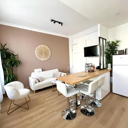 - T3 Renove De 50 M2 Classe 2 Etoiles *