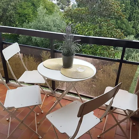 Appartamento Les Palmiers A 700m De La Nizza