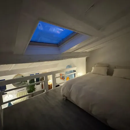 Superbe Duplex Entre Le Vieux Et La Prom Apartment