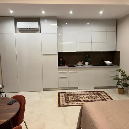 Apartment Extraordinaire Grand Au Centre 6 Minutes A Pied De La Et L'hotel Negresco