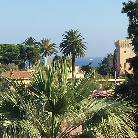 Palmeira - Welkeys Nizza