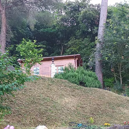 샬레 Large Chalet At Don Quijote
