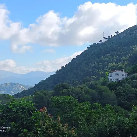 Dans Don Quijote Appartamento Nizza