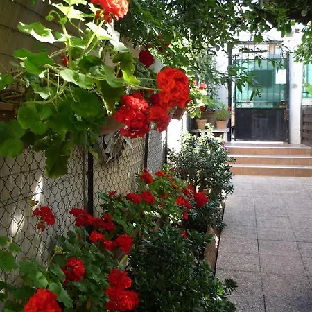 Logis Victorine 2* Nizza