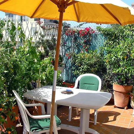 Piron Nizza
