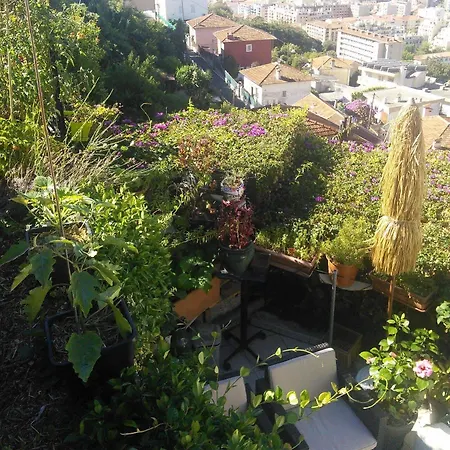 Hotel Le Panoramic Boutique 2*