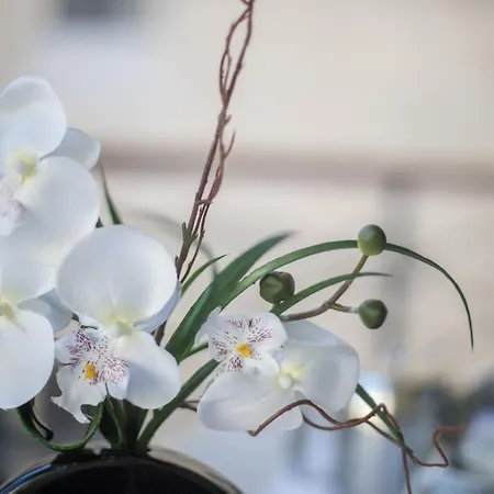 Apartament Palais Liberte *