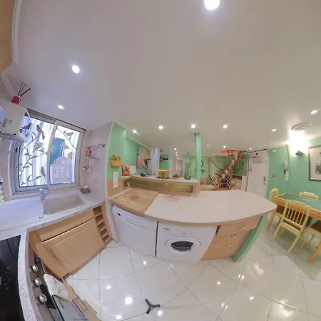 Duplex Port Apartment Nizza