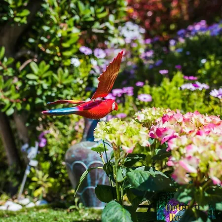 La Casetta Dei Fiori Vi3078 빌라 *