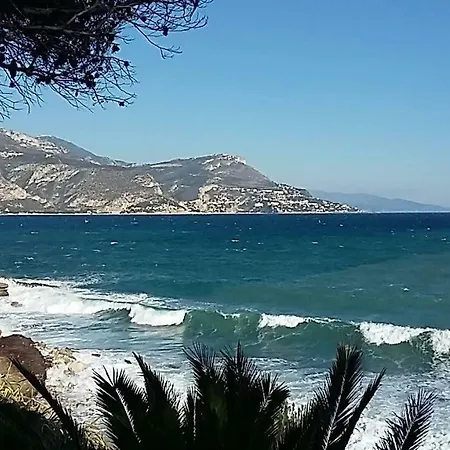 Port * Nizza
