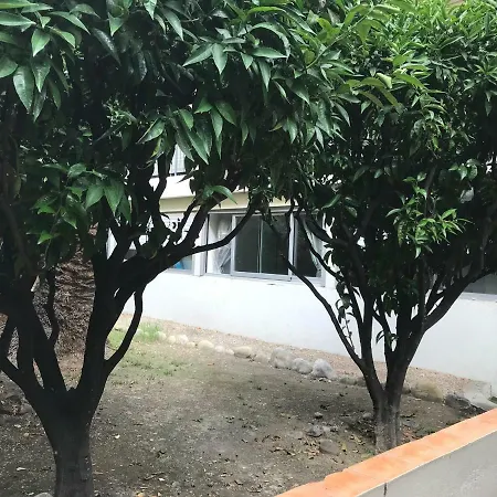 Appartement Les Clémentines Nice