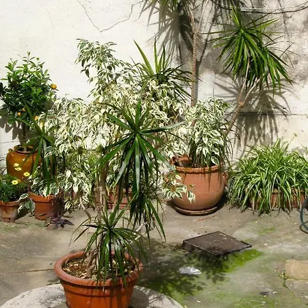 Apartamento Place Wilson