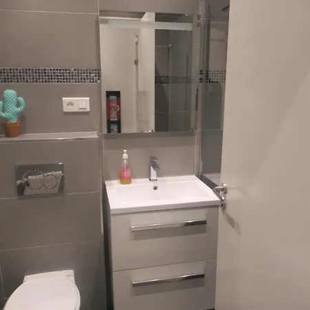 Le Ptit Niçois Sur Le Port Appartement *