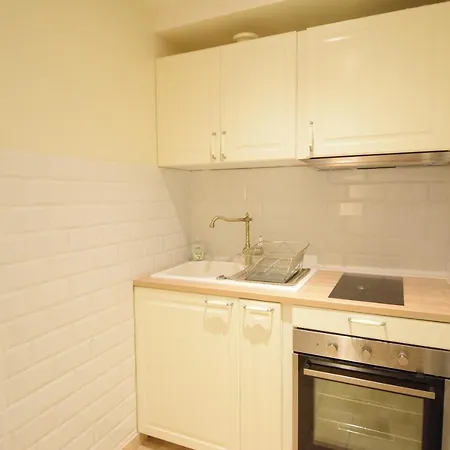 Renting - Pairoliere - Spacious Flat - Old - Massena - Terrace Apartment *