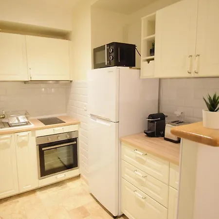 Renting - Pairoliere - Spacious Flat - Old - Massena - Terrace Apartment *