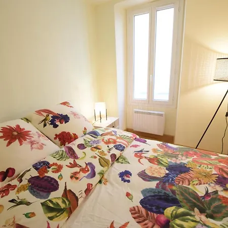 Apartment Renting - Pairoliere - Spacious Flat - Old - Massena - Terrace *