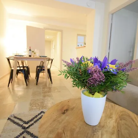 Renting - Pairoliere - Spacious Flat - Old - Massena - Terrace Apartment Nice