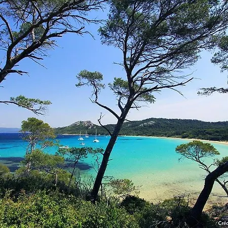Les Pieds Dans L'eau * Nice