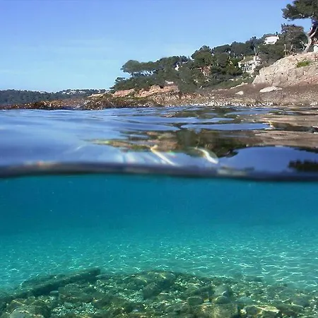Bed & Breakfast Les Pieds Dans L'eau Nice