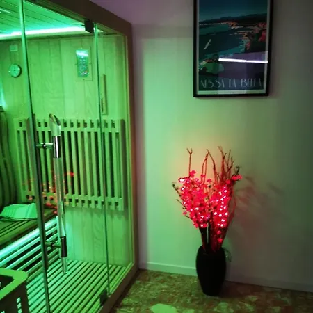 Guest house Privatif Sauna Jaccuzi Nice