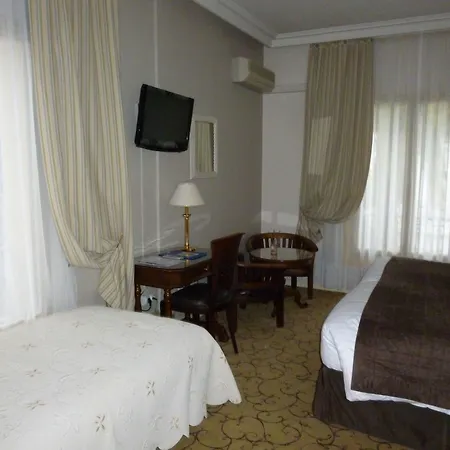 Hotel Petit Palais Nizza