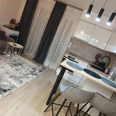 Apartment Lovely 1 Bedroom Vacation With Free Parking. Nice